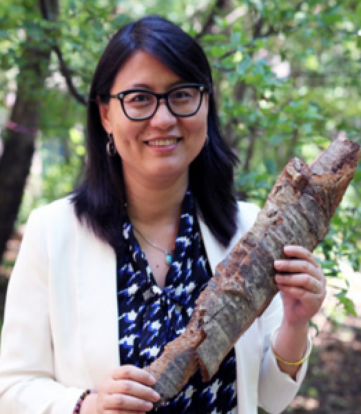 Prof. Ning YAN