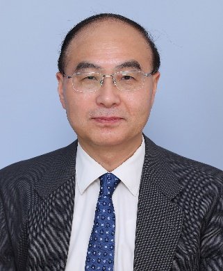 Prof. Ye WANG